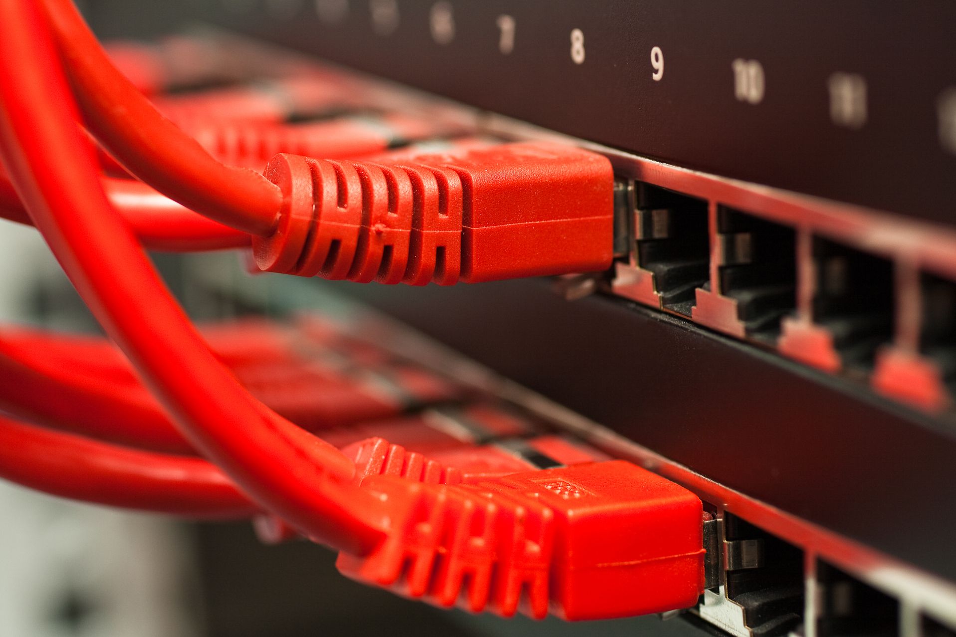 Rote Netzwerkkabel sind in einen Switch eingesteckt.